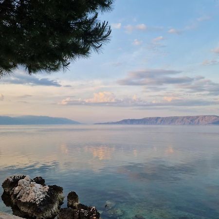 Blue Seagull - Seafront Holiday Home Novi Vinodolski Luaran gambar